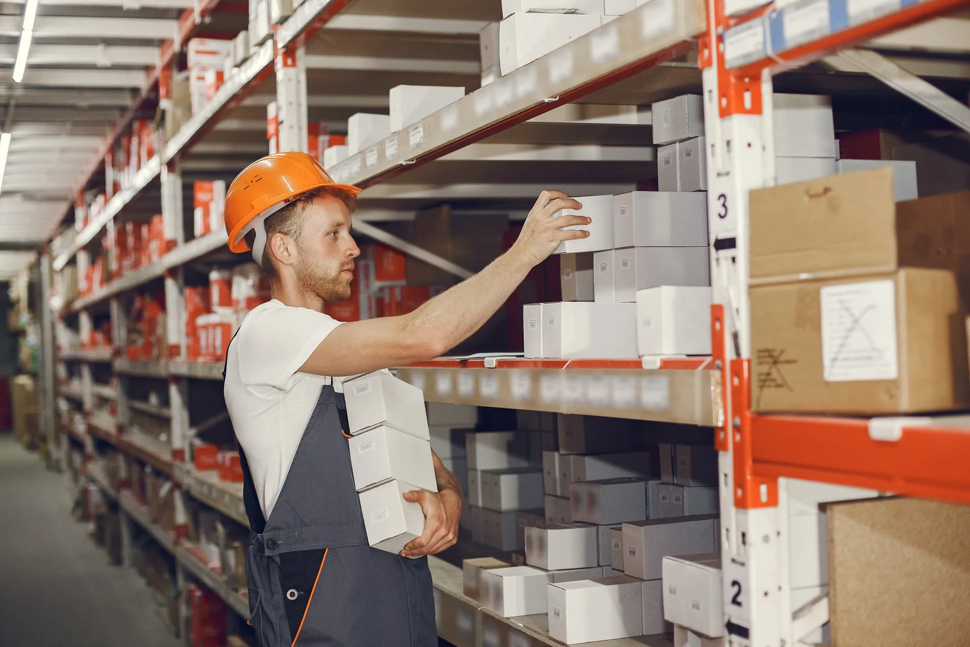 Central Purchasing & Import-Export